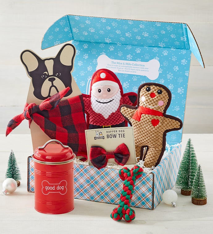 Max & Milo® Dog Holiday Essentials Box